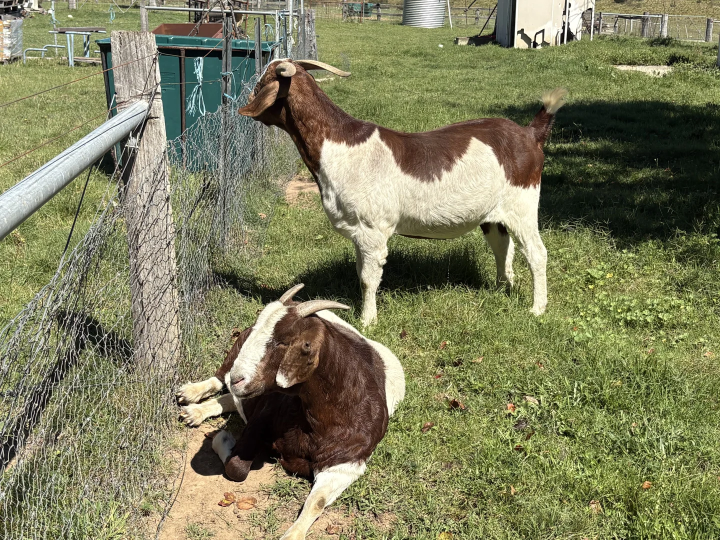 Additional image 18 of 51 Griffins Road, Wyanbene NSW 2622