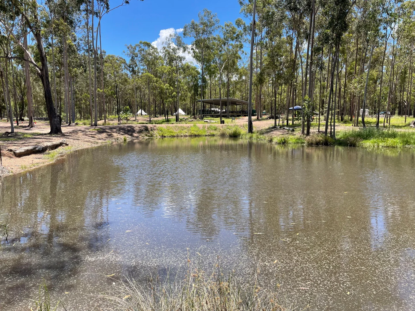 Additional image 10 of 264 Cooks Road, South Isis QLD 4660