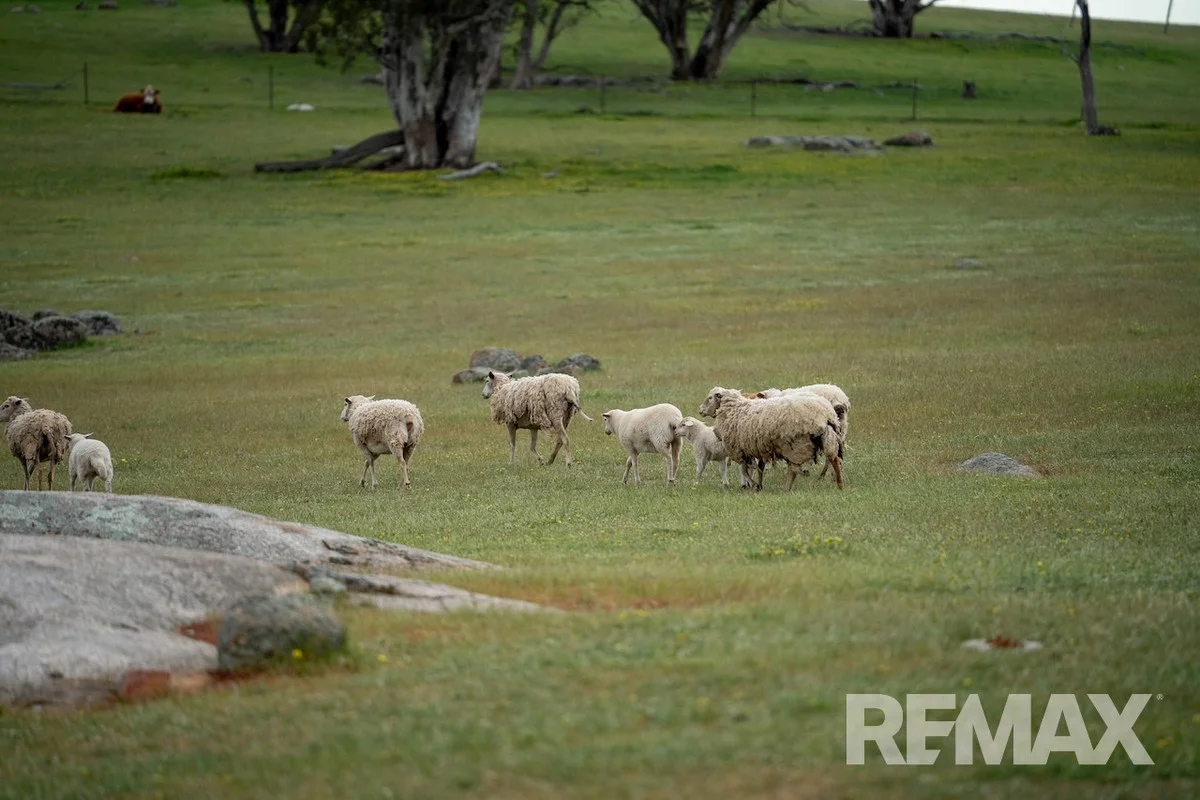Additional image 30 of 417 Twelve Mile Road, Yarragundry NSW 2650