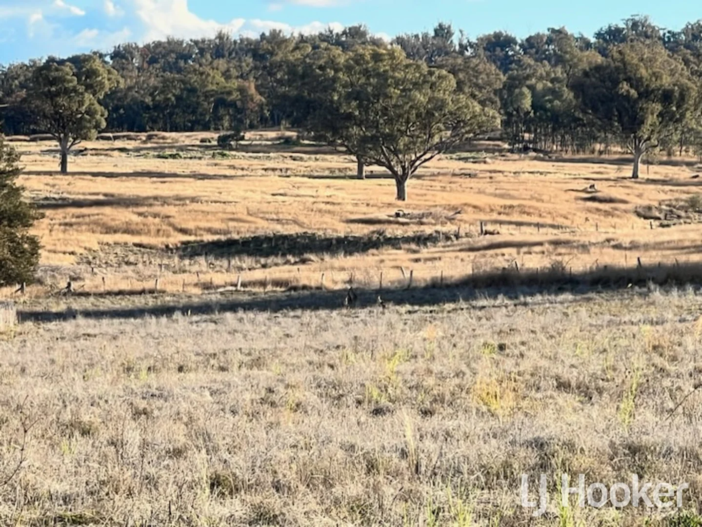 Additional image 7 of 133 Dog Trap Lane, Inverell NSW 2360