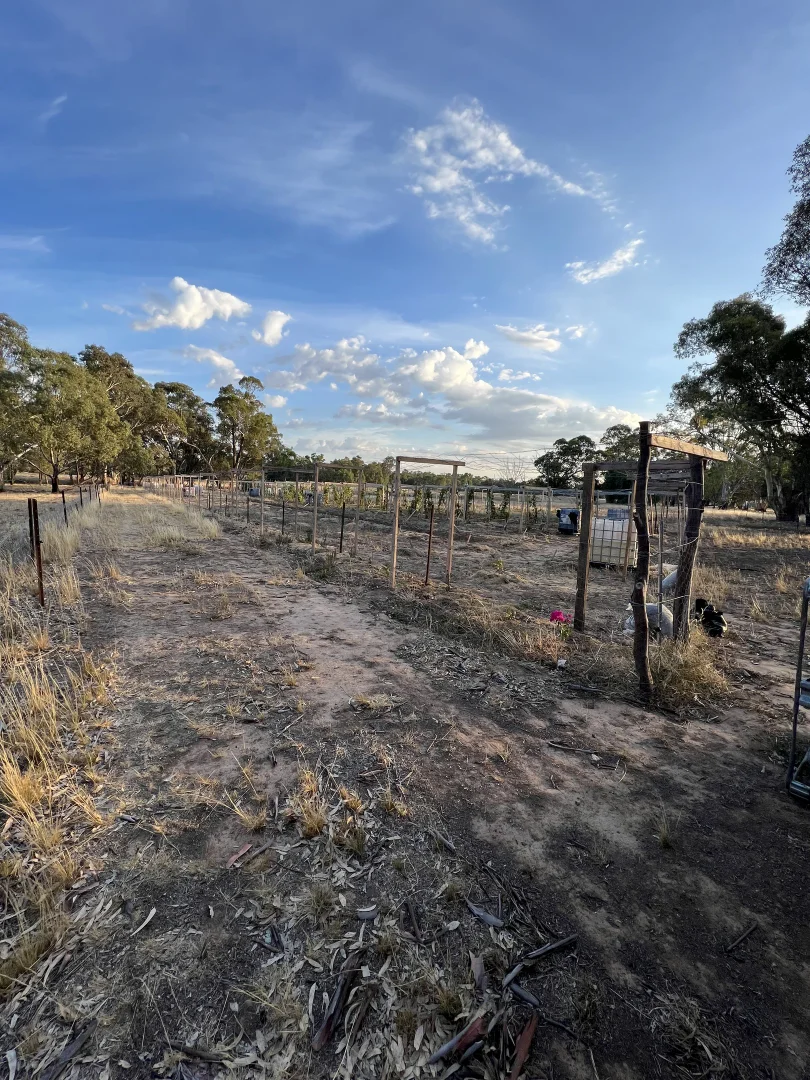 Additional image 12 of Lot CA A15/3383 Avoca-Bealiba Road, Bealiba VIC 3475