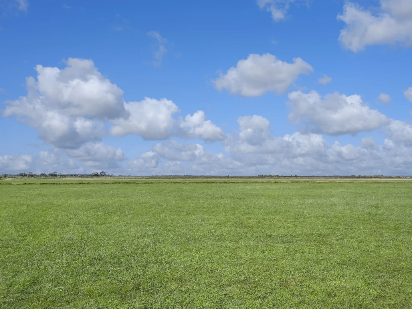 Additional image 9 of 12 Fowler Road, Beelbangera NSW 2680