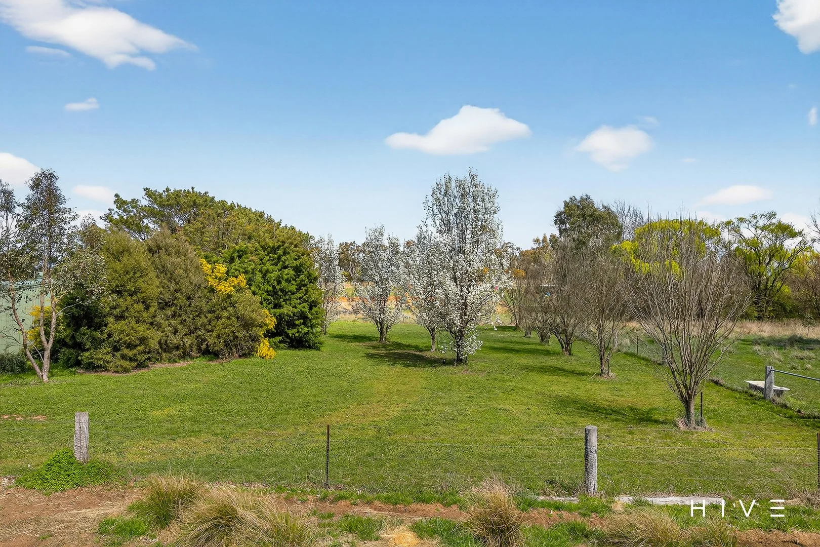 Additional image 30 of 31 David Street, Gundaroo NSW 2620