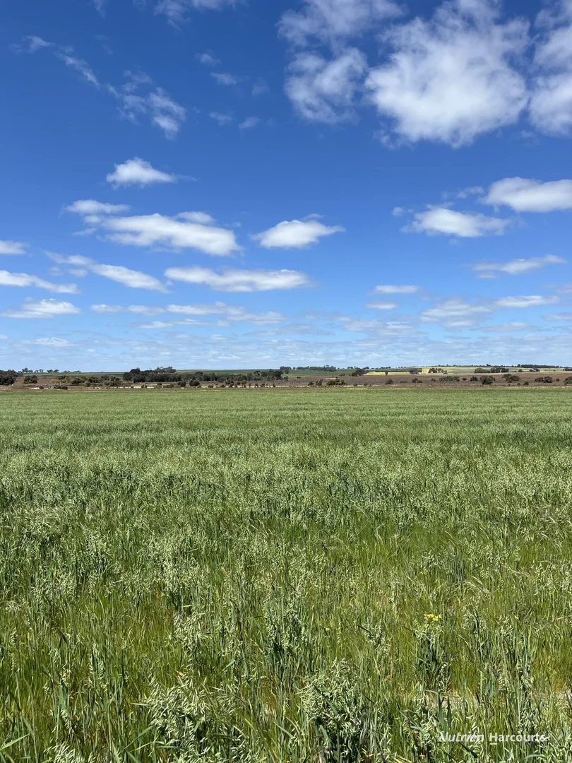 Additional image 4 of Lot 702 Dale Kokeby Road, Kokeby WA 6304