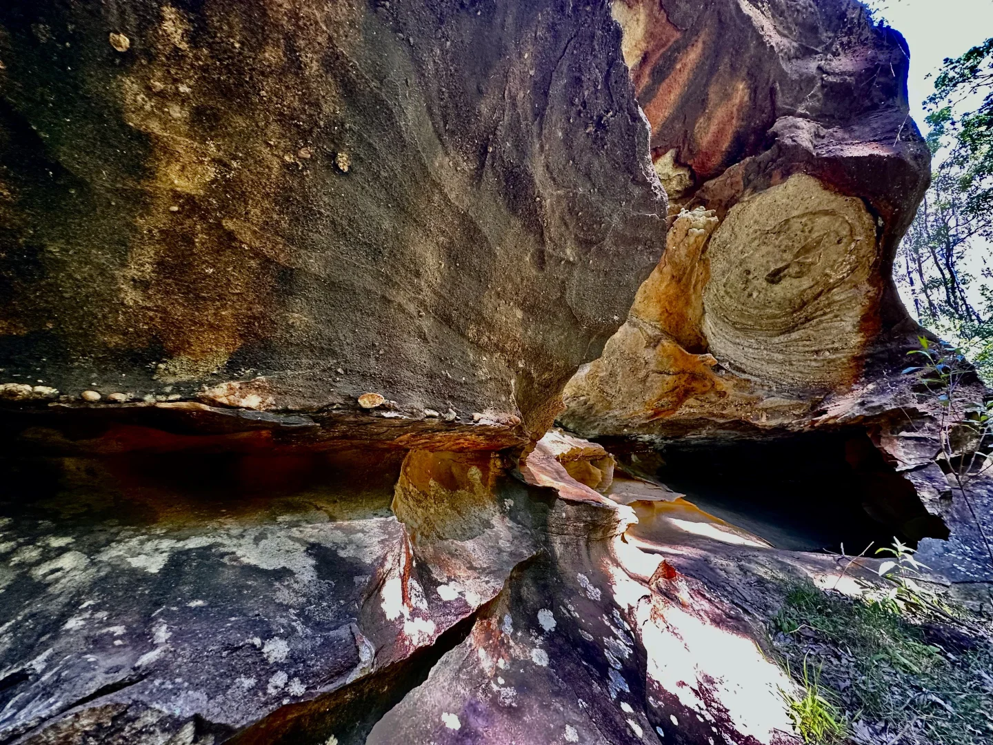 Additional image 31 of 75 L3 Private Access, Laguna NSW 2325