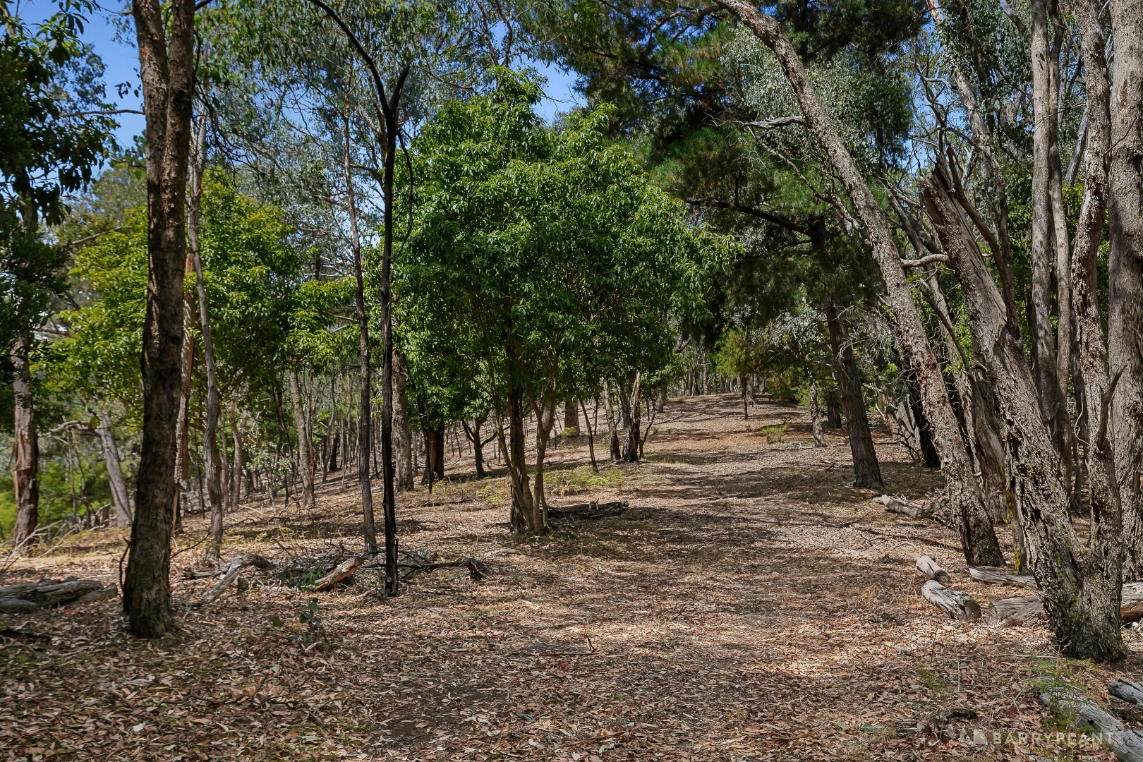 Additional image 5 of 12 Valley Road, Wonga Park VIC 3115