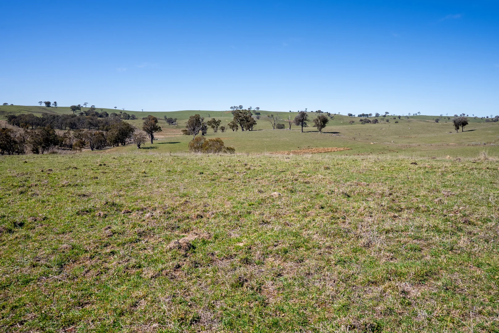 Additional image 24 of 5353 Trunkey Road, Trunkey Creek NSW 2795