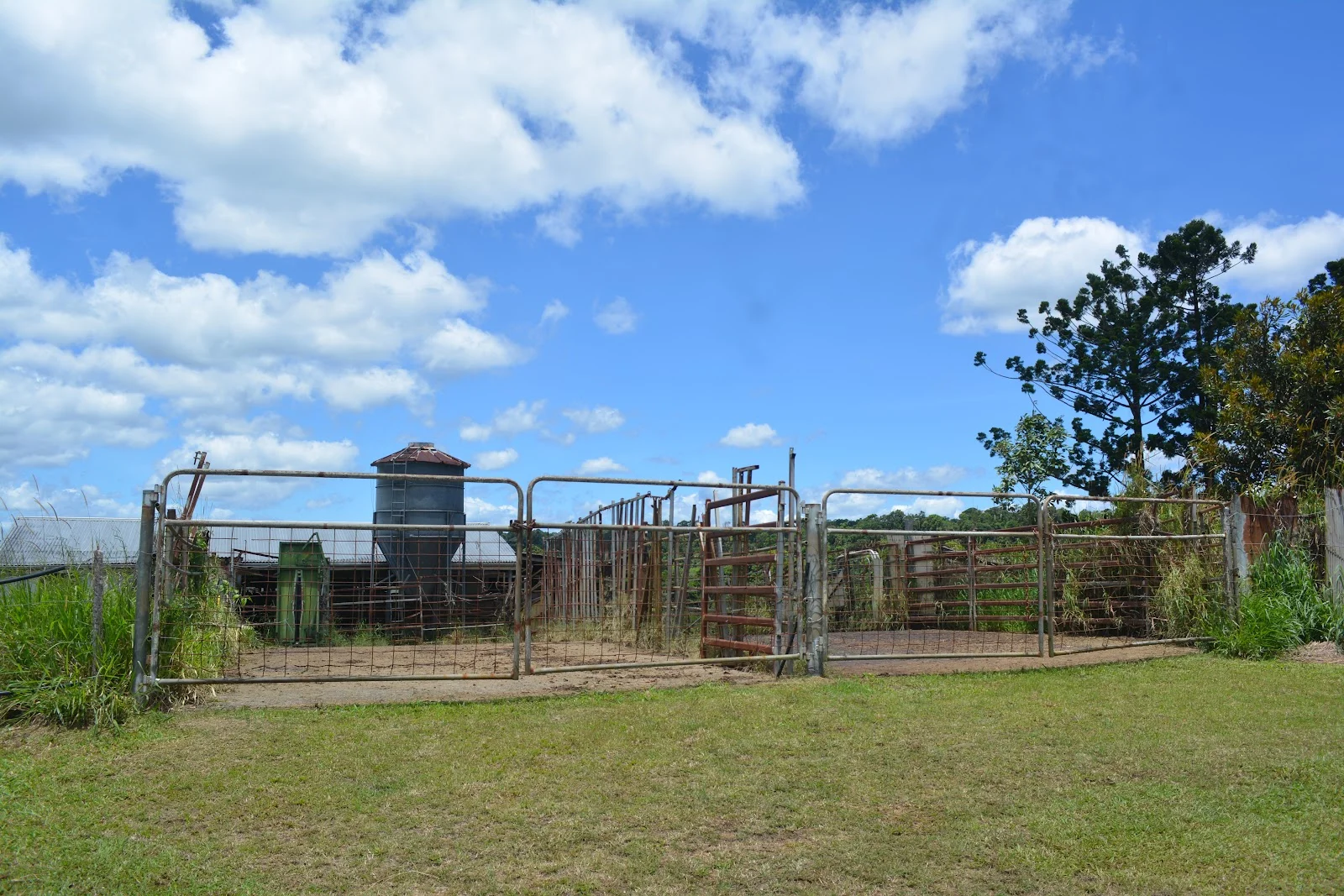 Additional image 66 of 780 MIDDLEBROOK ROAD, Millaa Millaa QLD 4886