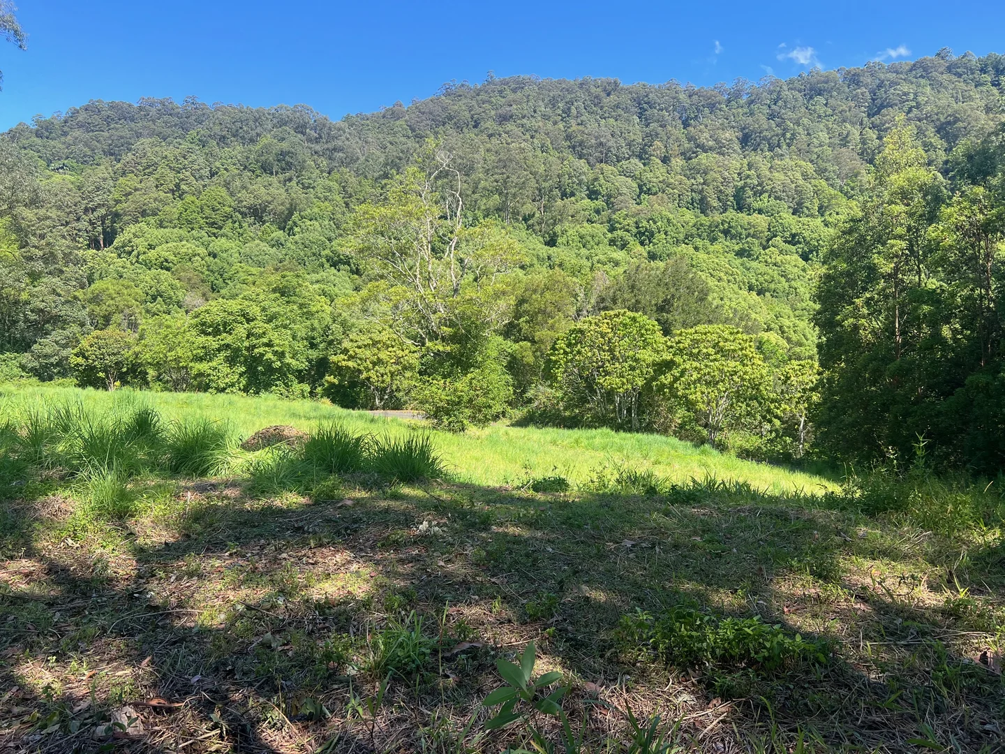 Additional image 2 of Lot 8, 345 Tuntable Falls Road, Nimbin NSW 2480