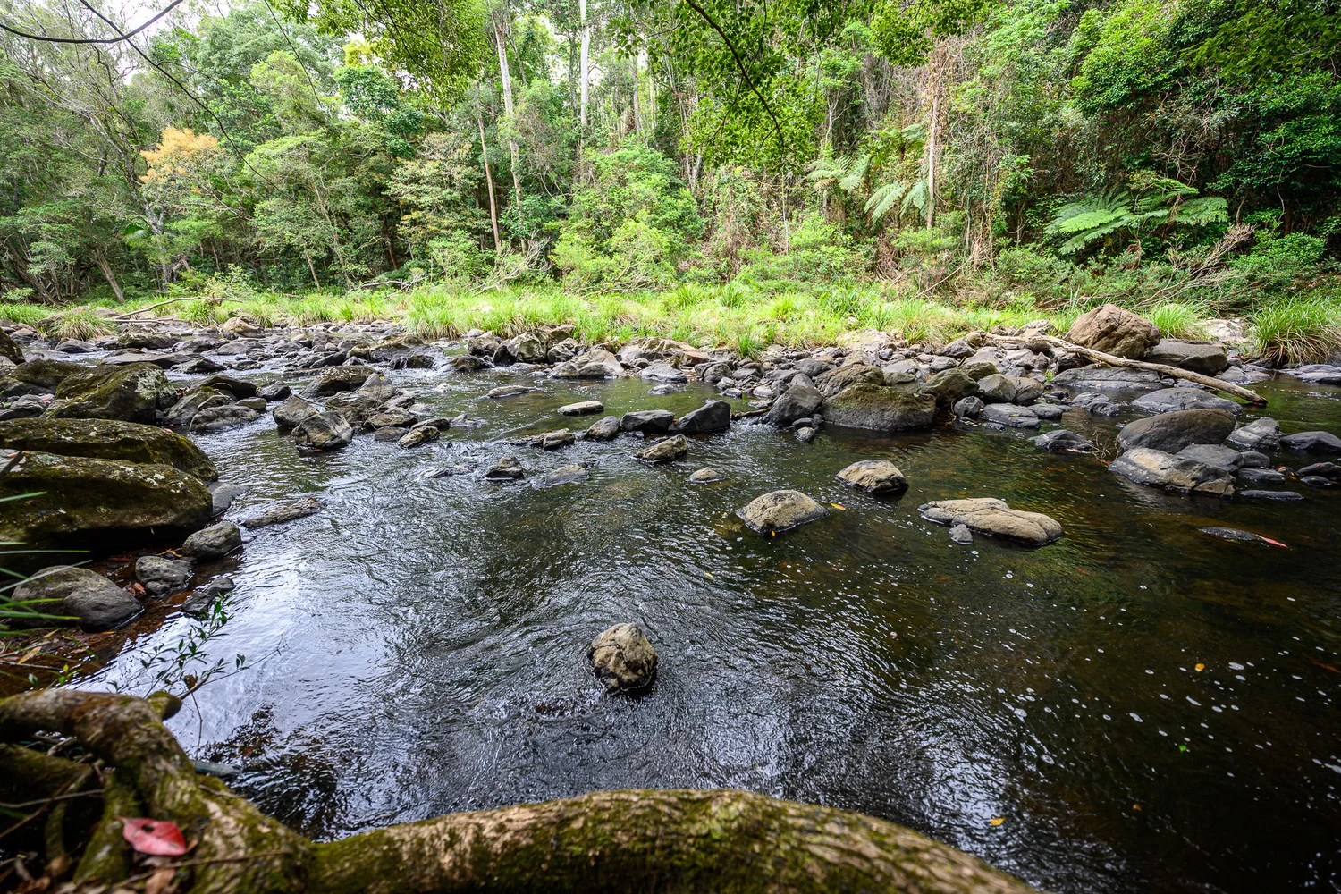 Additional image 39 of 86 Parmenters Road, Wilsons Creek NSW 2482