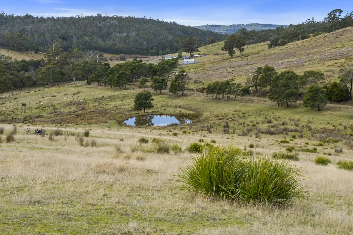 Additional image 9 of 1 & 2 Bresnehans Road, Little Swanport TAS 7190