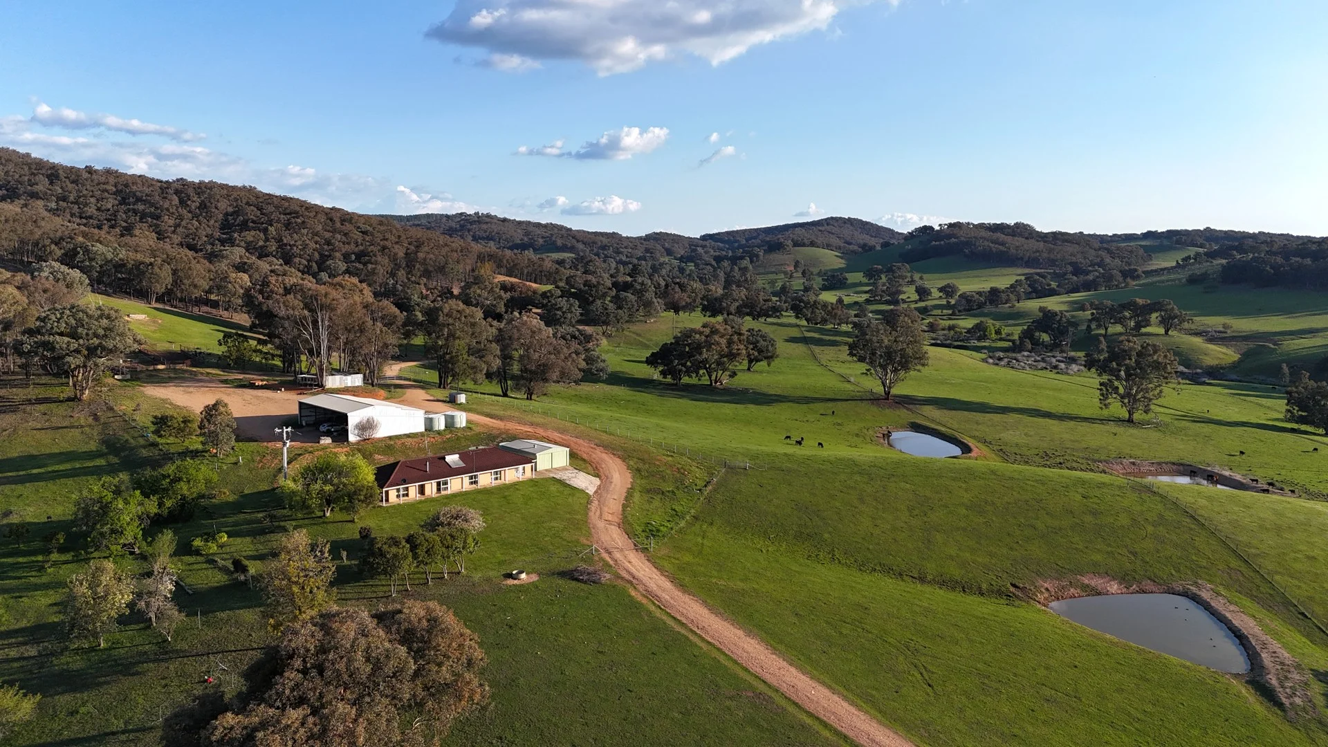 468 Vokins Creek Road, Little Billabong NSW 2644