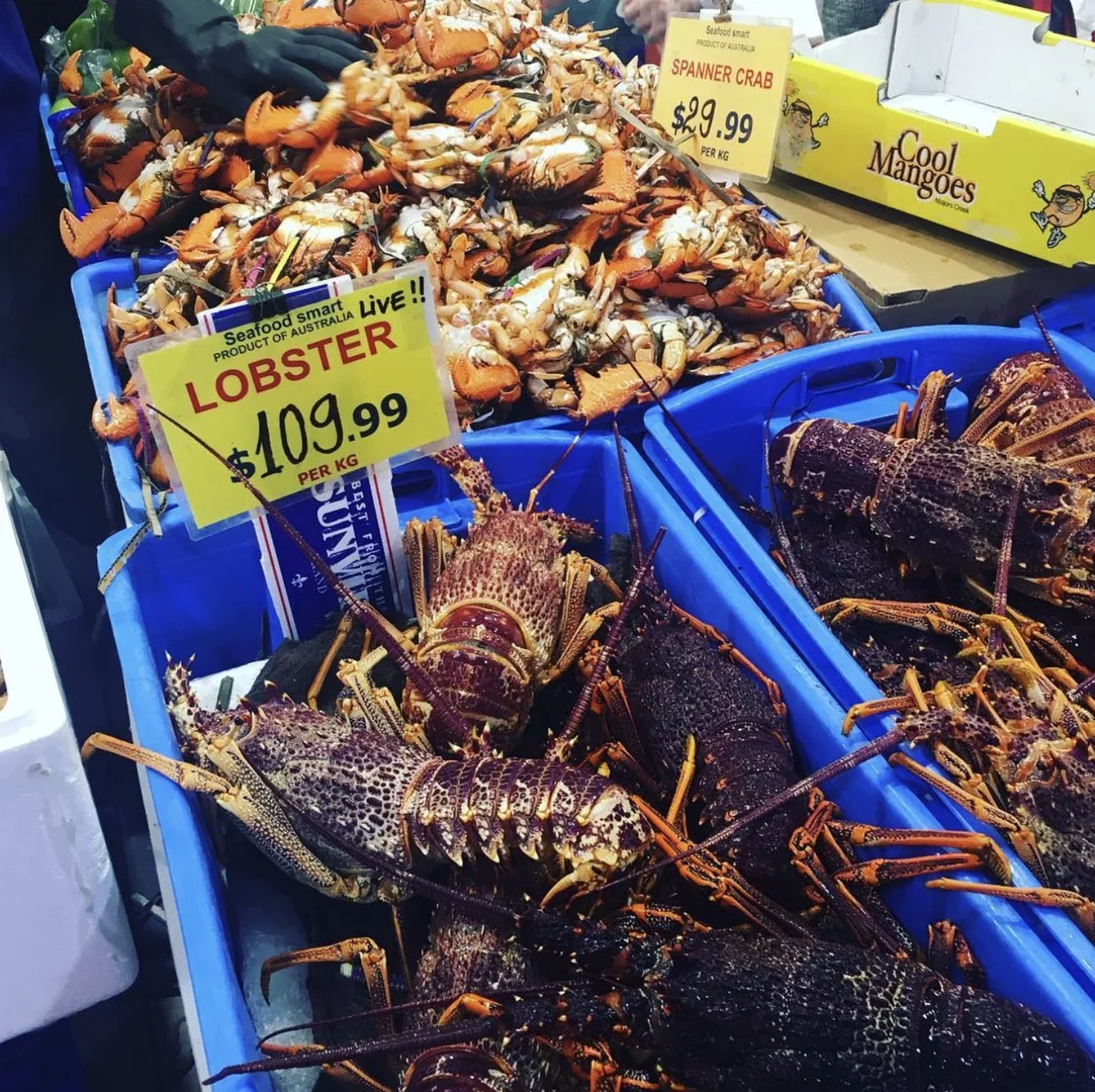 Additional image 4 of Springvale South VIC 3172