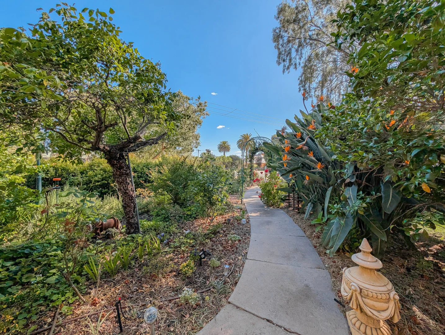 Additional image 29 of 81 Nolan Street, Kerang VIC 3579