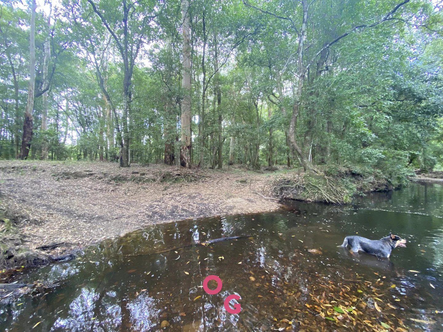 Additional image 31 of 136 Limeburners Creek Road, Limeburners Creek NSW 2324