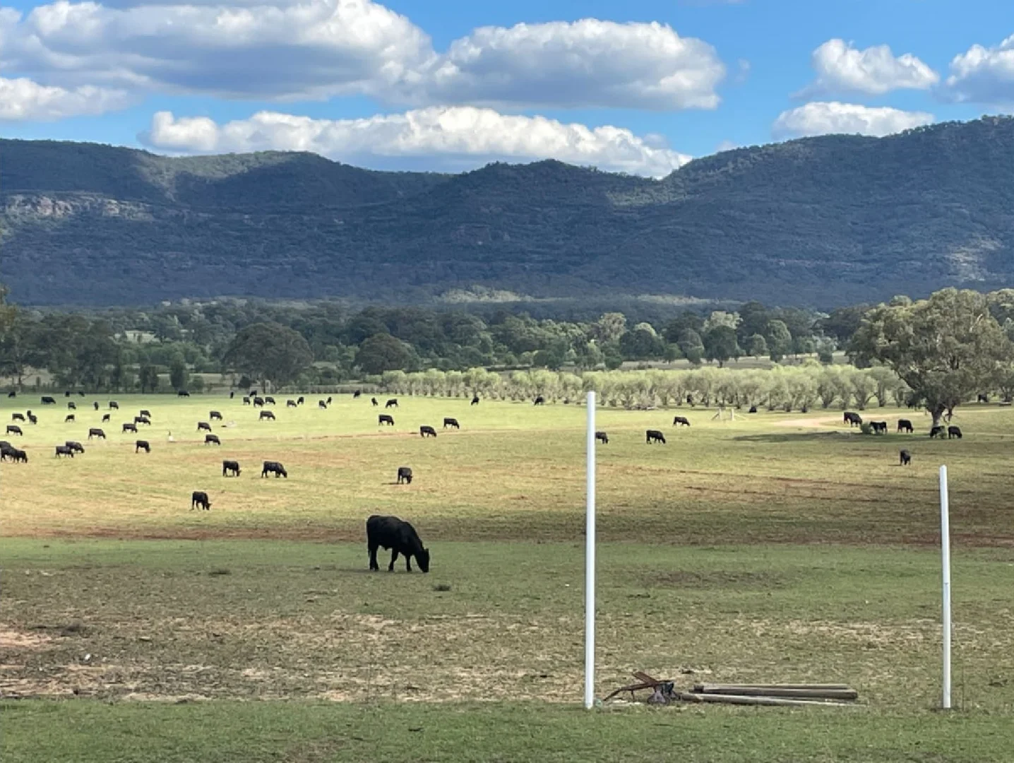 Additional image 63 of 207 Redmanvale Road, Jerrys Plains NSW 2330