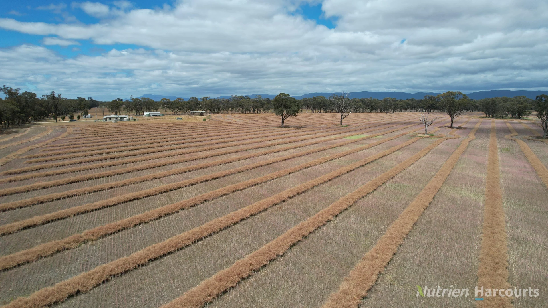 Additional image 13 of 190 Lake Road, Glenorchy VIC 3385