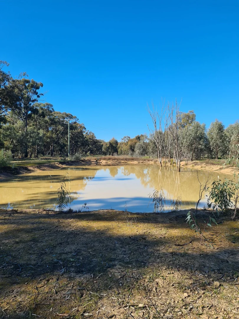 Additional image 14 of 78 Louies Hut Road, Moama NSW 2731