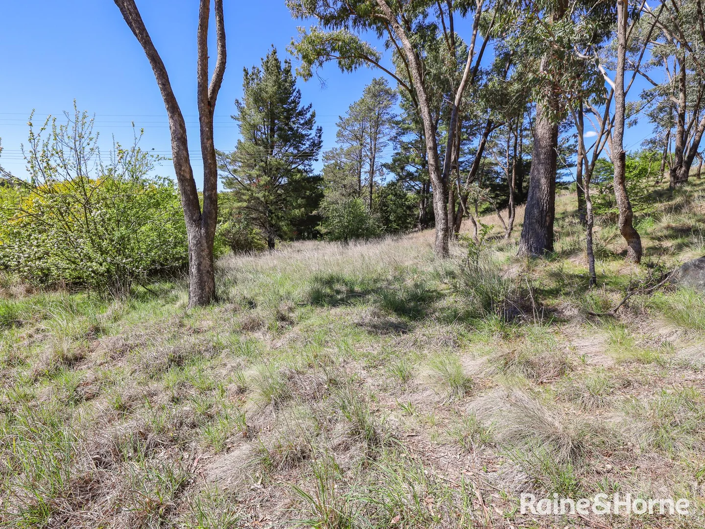 Additional image 6 of 1 Naylor Street, Carcoar NSW 2791