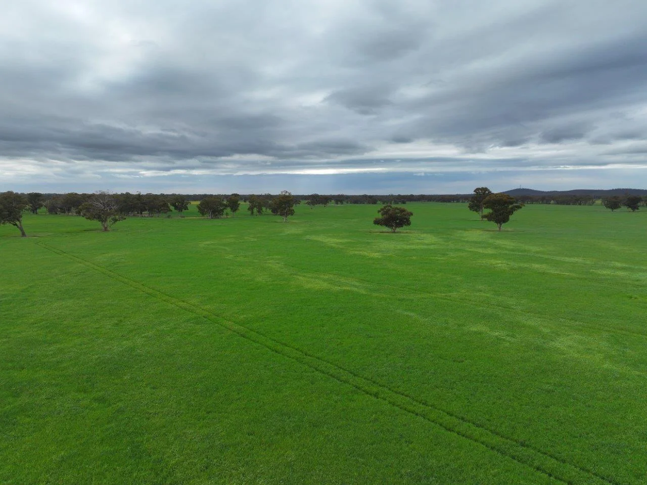 Additional image 4 of -- Brenanah-Kurting Road, Kurting VIC 3517