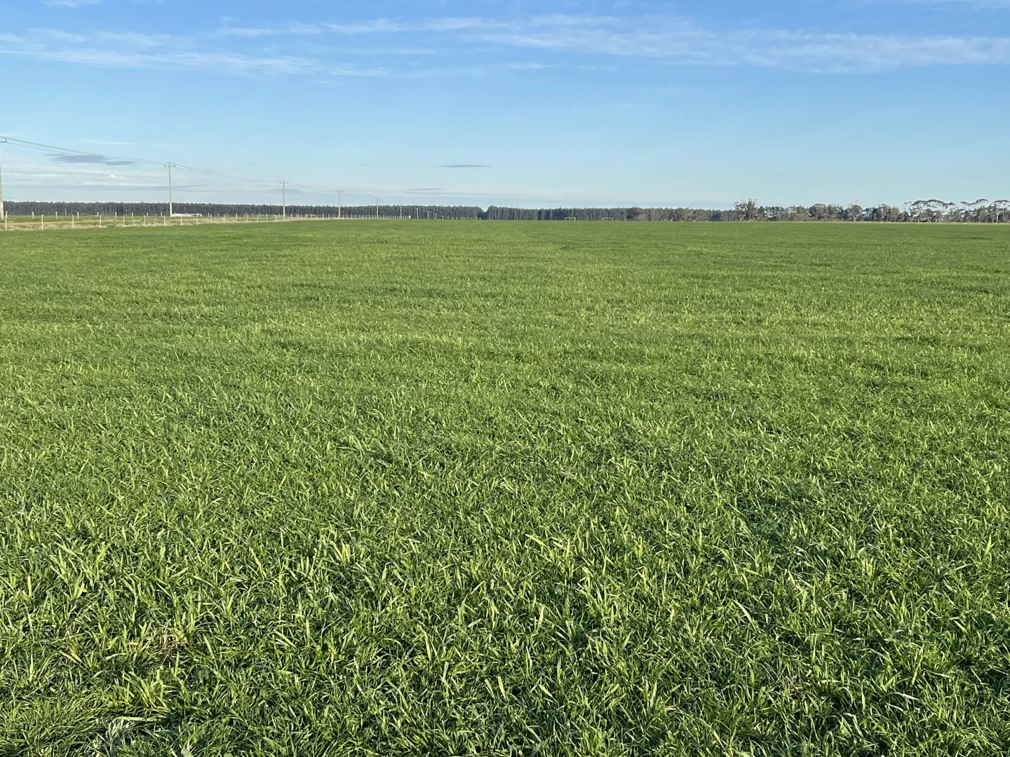 Additional image 19 of 39949 South Coast Highway, Green Range WA 6328