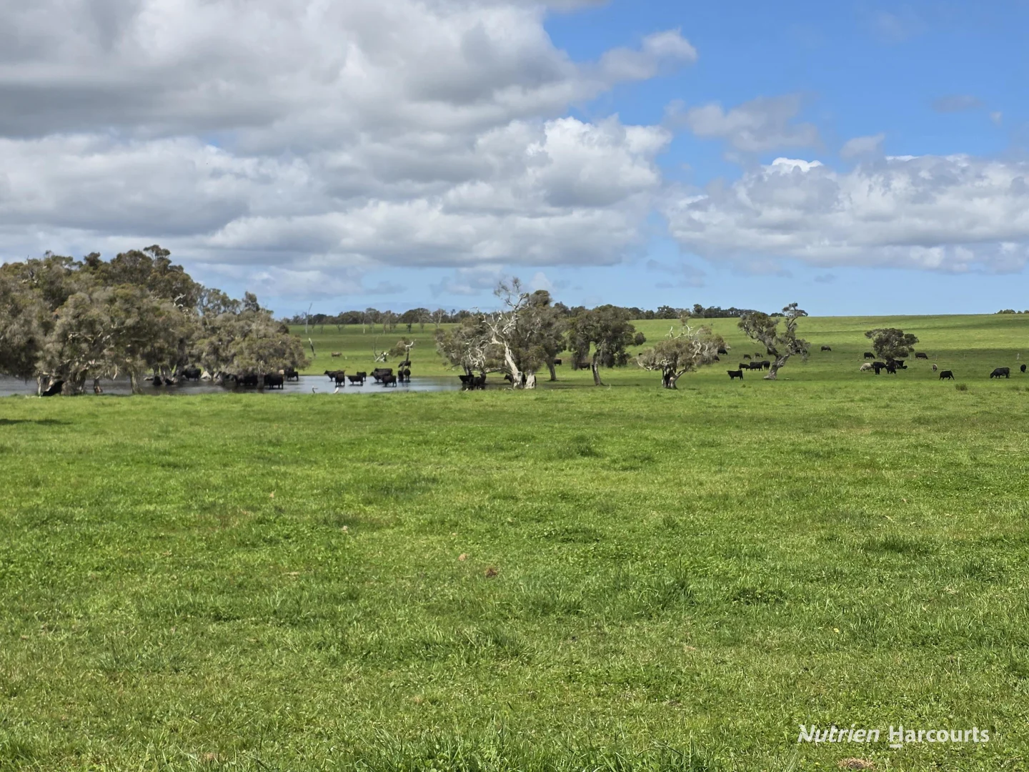 Additional image 26 of 1867 Chester Pass Road, Napier WA 6330