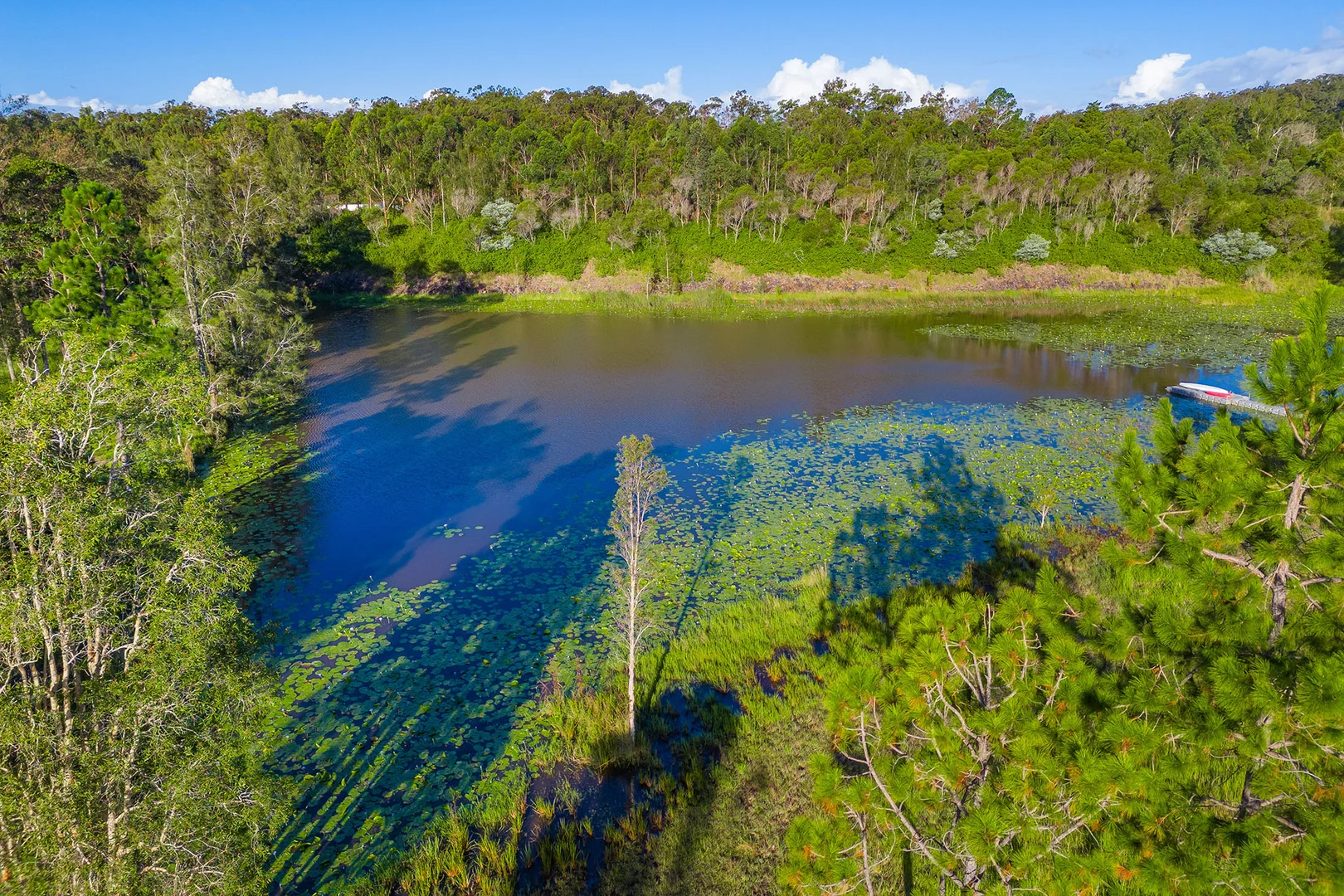 Additional image 6 of 34B Yabsleys Lane, South Kempsey NSW 2440