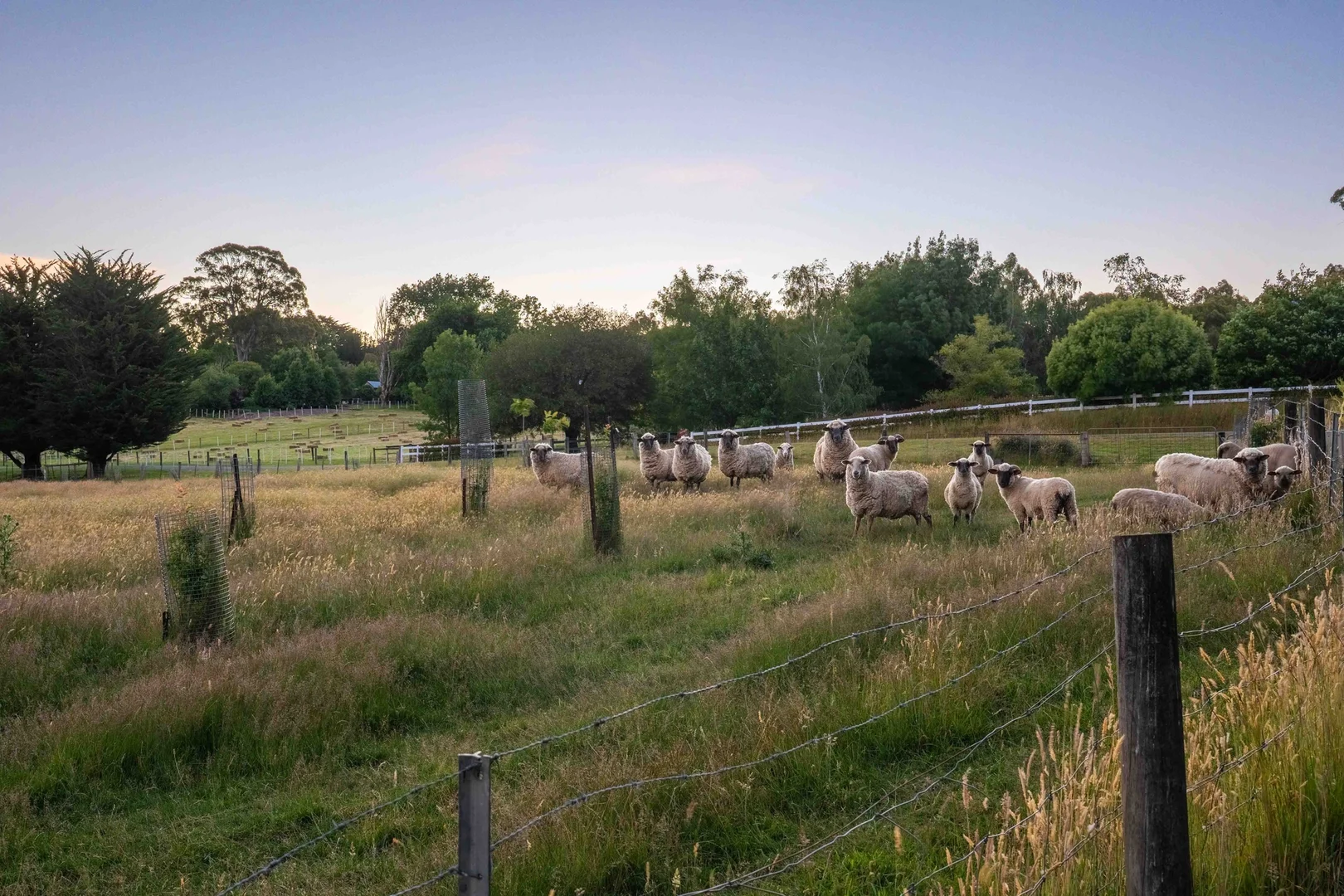 Additional image 20 of 28 Molesworth Court, Gordon VIC 3345