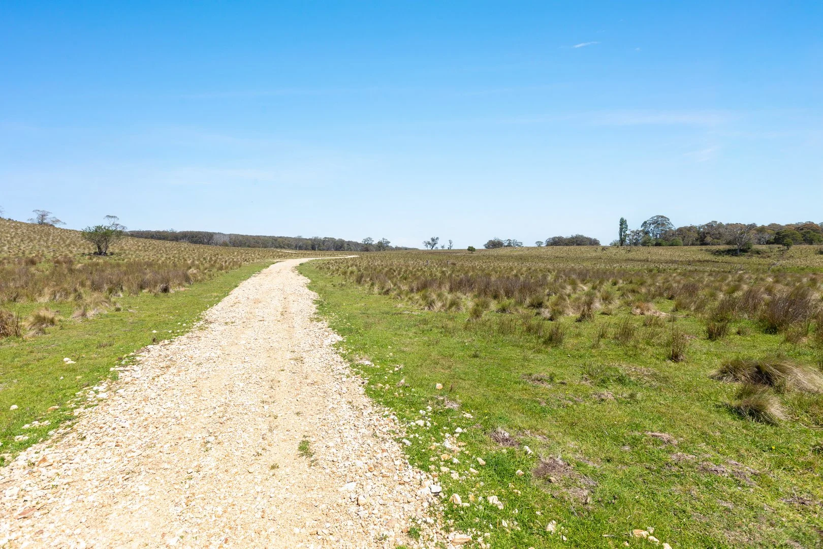 Additional image 5 of Thornleigh Coolangubra Road, Cathcart NSW 2632