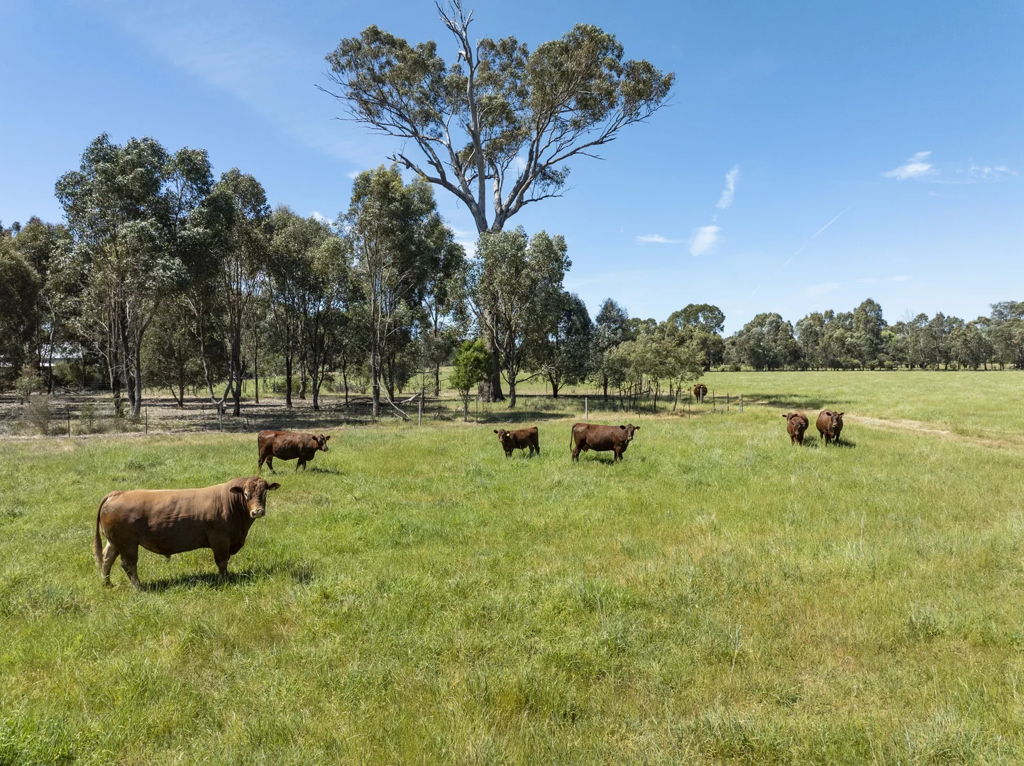 Additional image 20 of 827 Benalla-Tatong Rd, Benalla VIC 3672