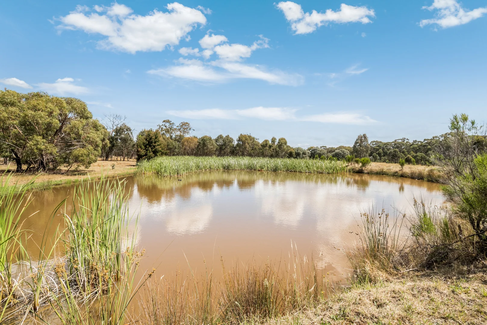 Additional image 26 of 250 Seymour-Avenel Road, Seymour VIC 3660