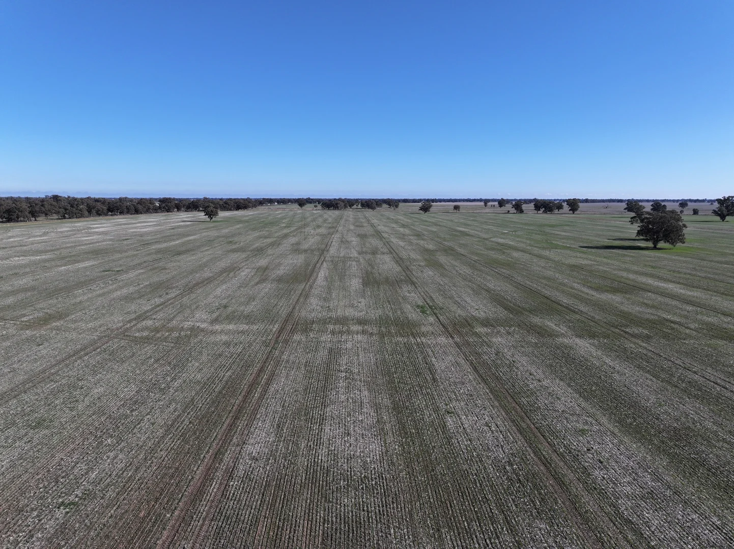 Additional image 9 of Berrigan Oaklands Road, Berrigan NSW 2712