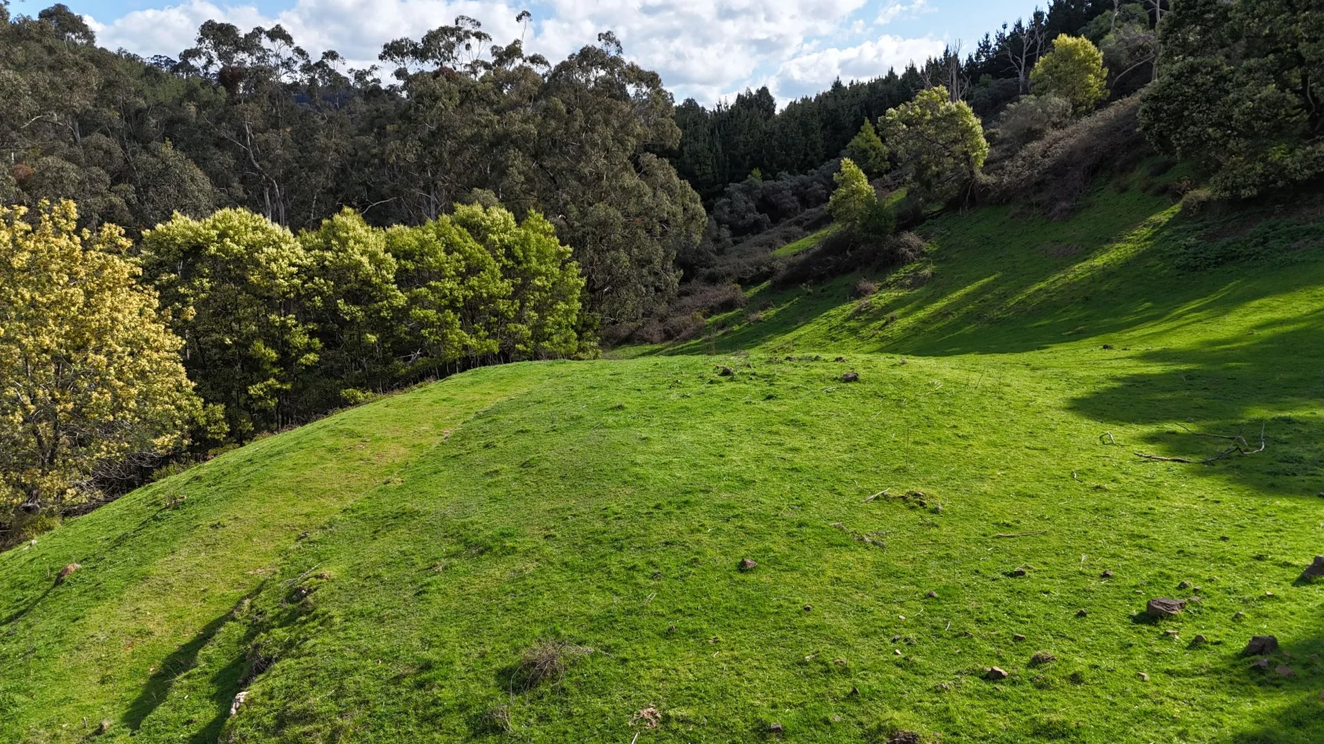 Additional image 27 of 141 BUNDERRA DRIVE, Boolarra VIC 3870