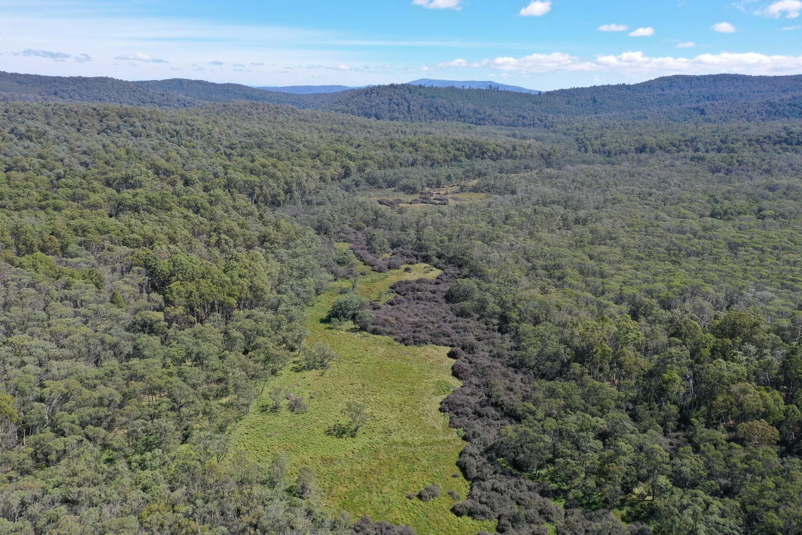 Additional image 4 of 710 Old Bendoc Bonang Road, Bendoc VIC 3888