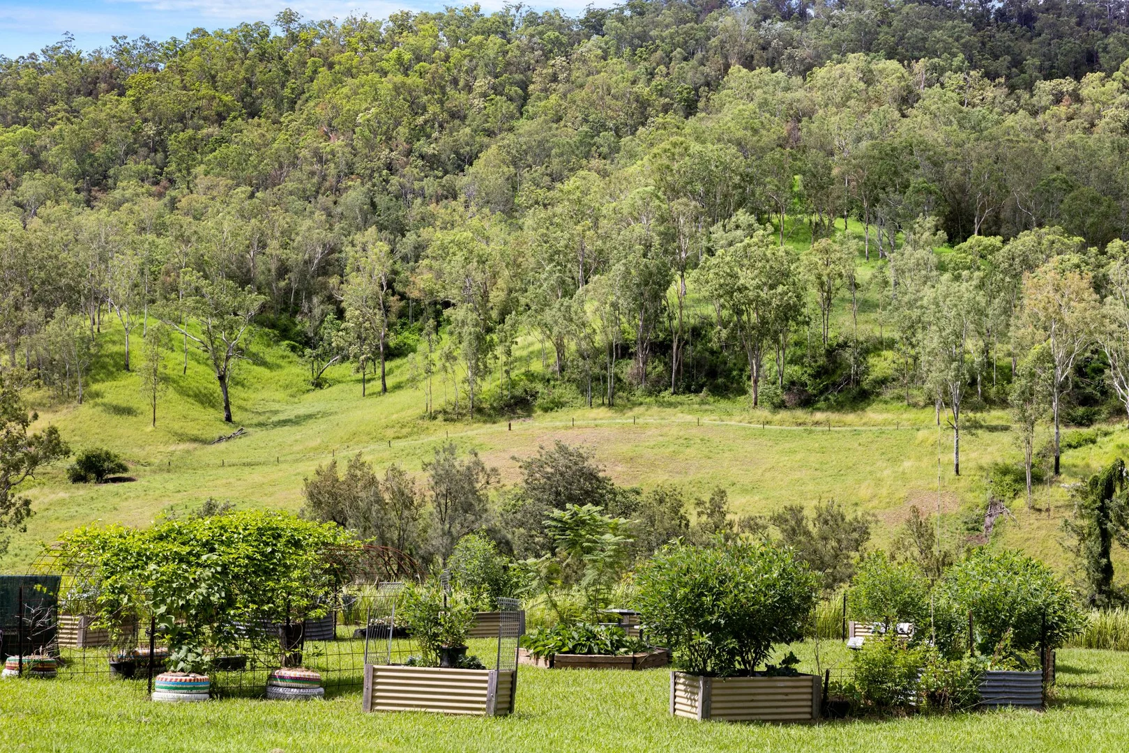 Additional image 16 of 154 Sawpit Creek Road, Findon Creek NSW 2474