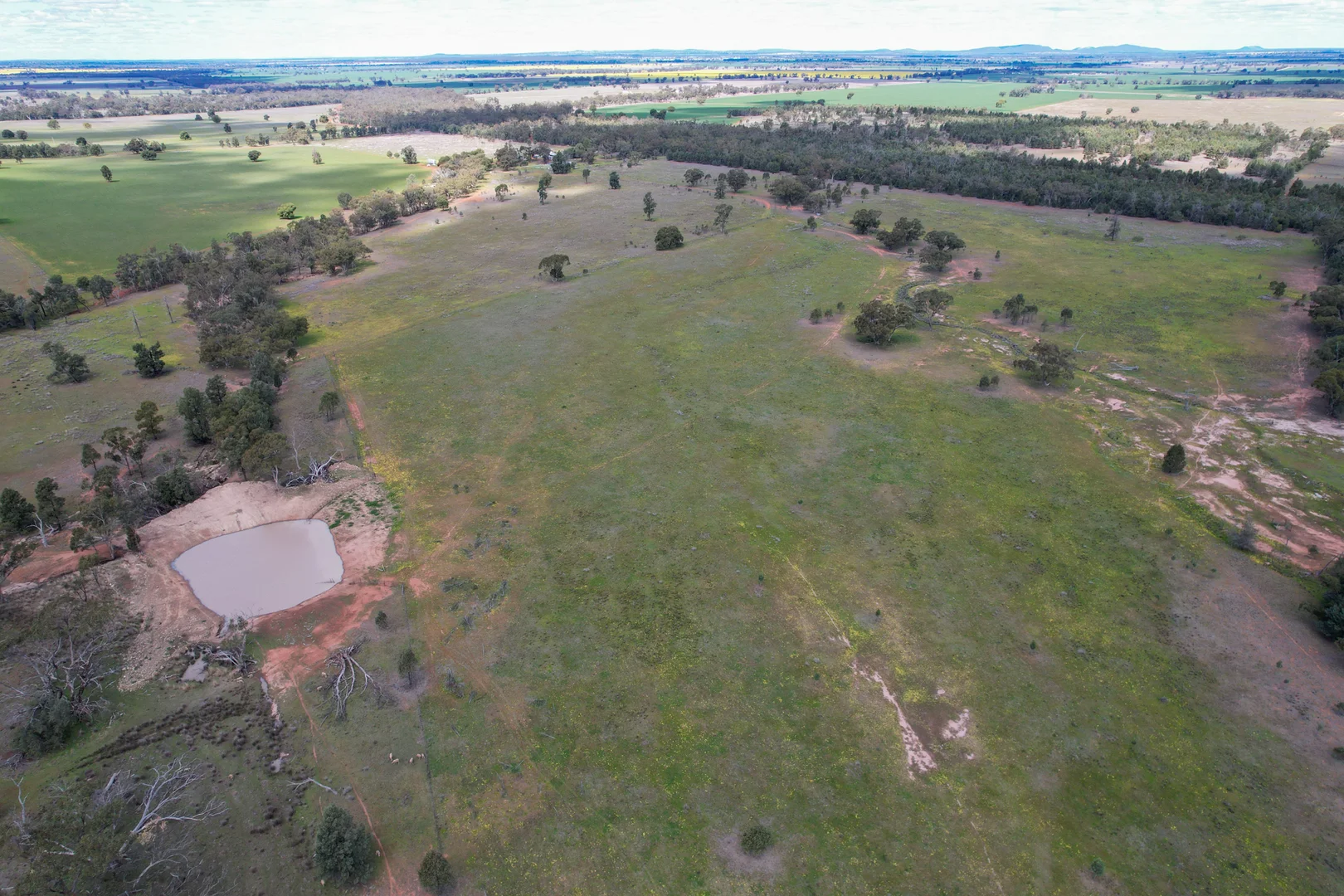 Additional image 9 of 120 Melrose Plains Road, Fifield NSW 2875