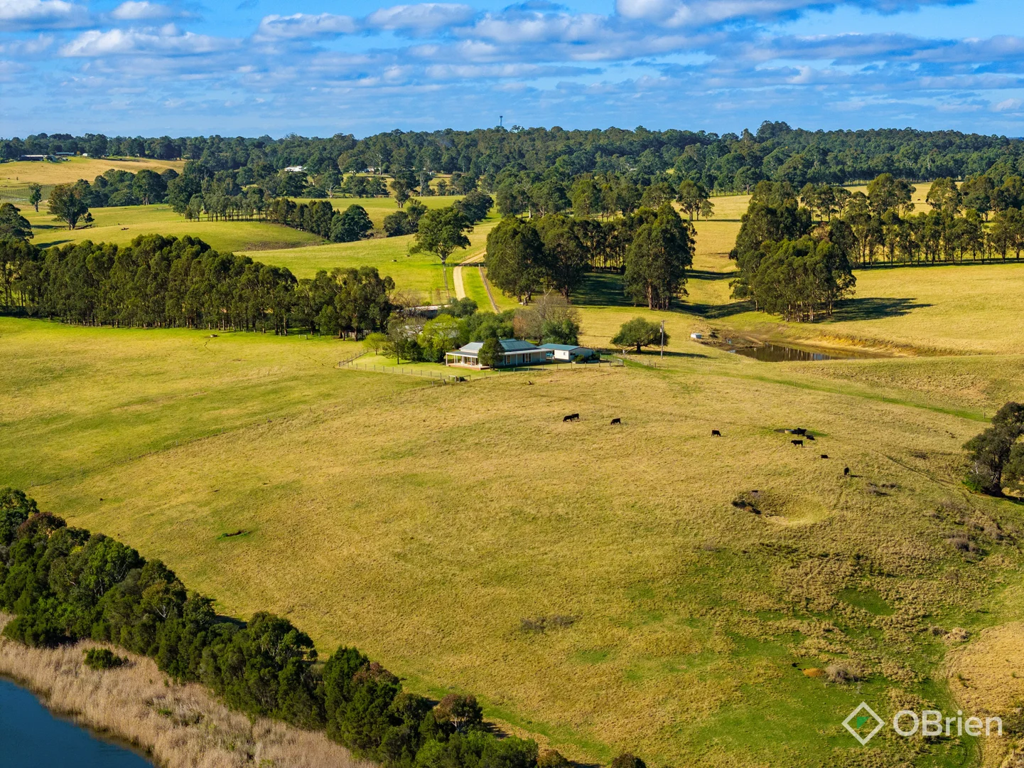 Additional image 2 of 43 Waddells Road, Nicholson VIC 3882