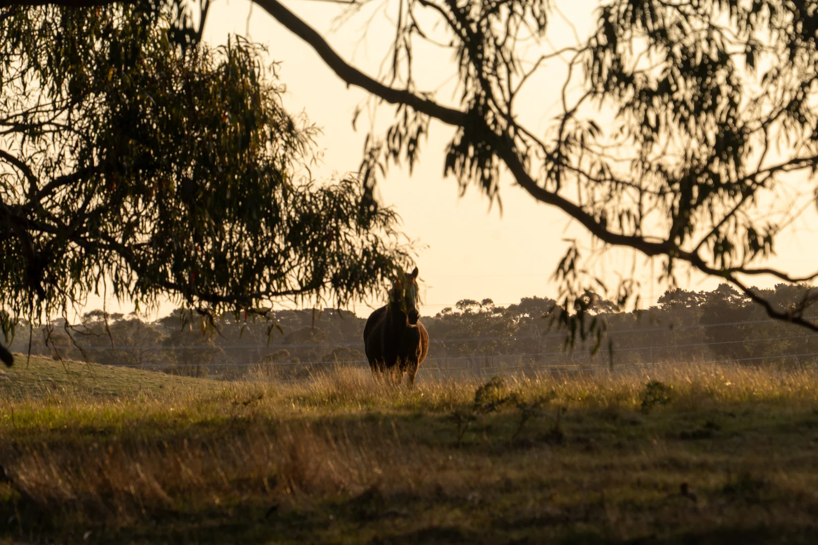 Additional image 19 of 153 Angees Road, Elaine VIC 3334