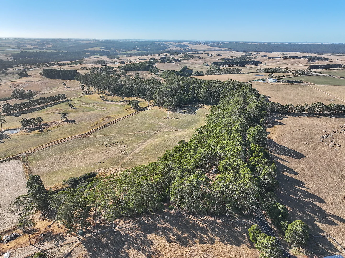 Additional image 10 of 3384 Lavers Hill-Cobden Road, Kennedys Creek VIC 3239