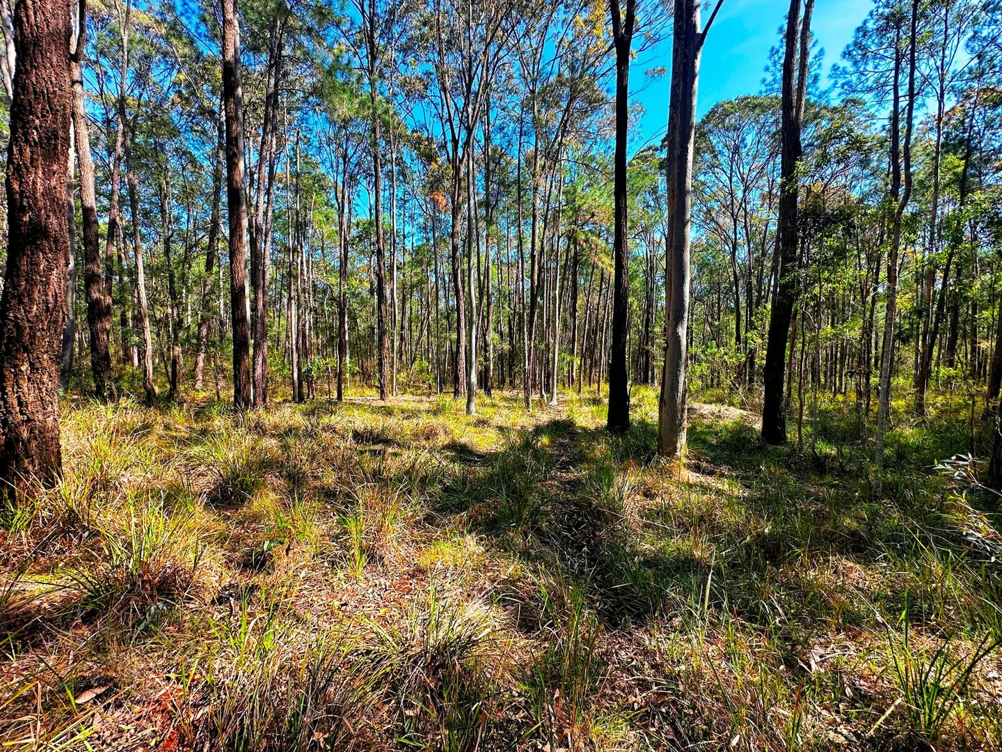 Additional image 7 of 88 Clarke Street, Pindimar NSW 2324