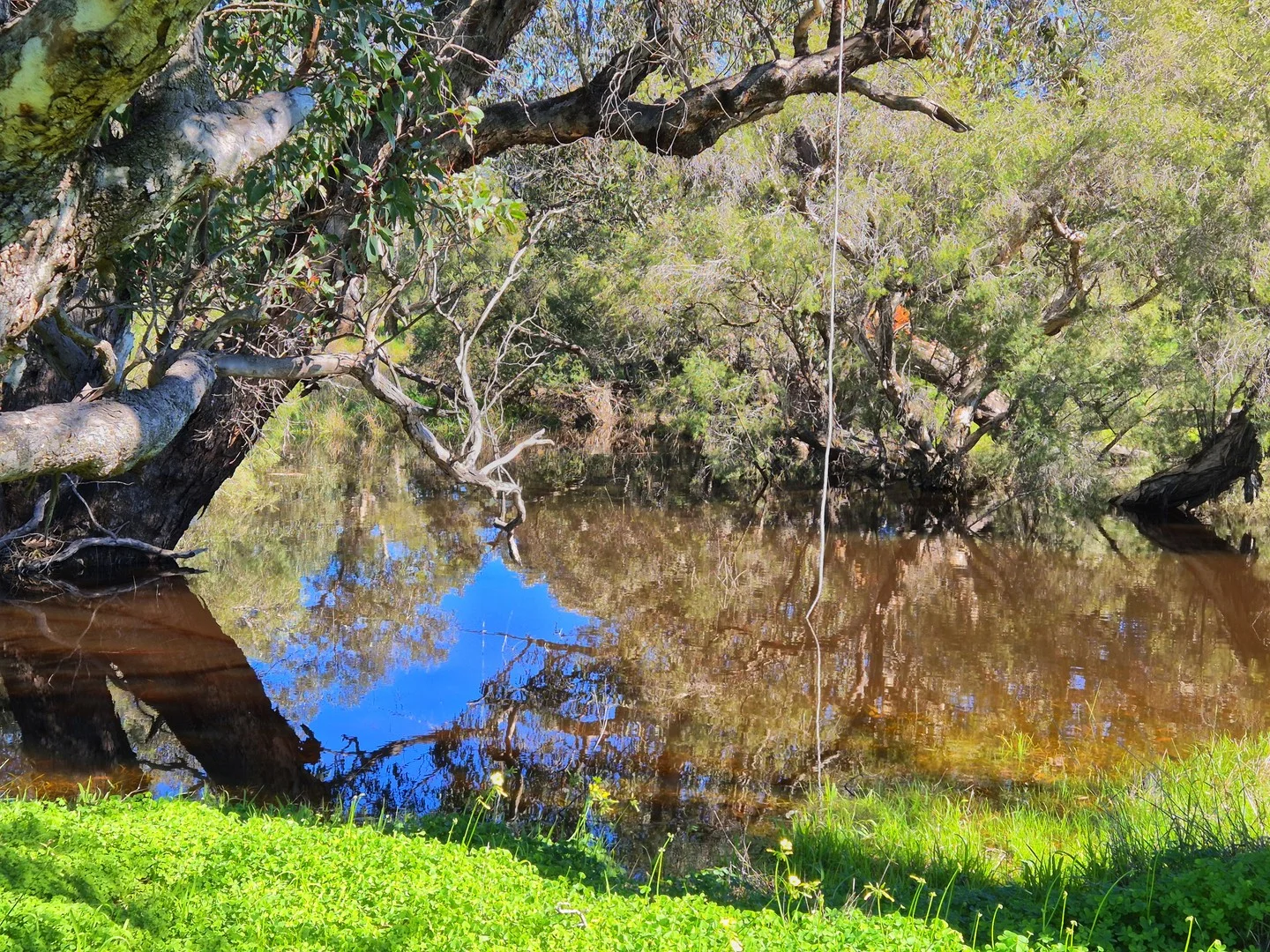 Additional image 6 of 190 Flourmill Cove, Cowalla WA 6503