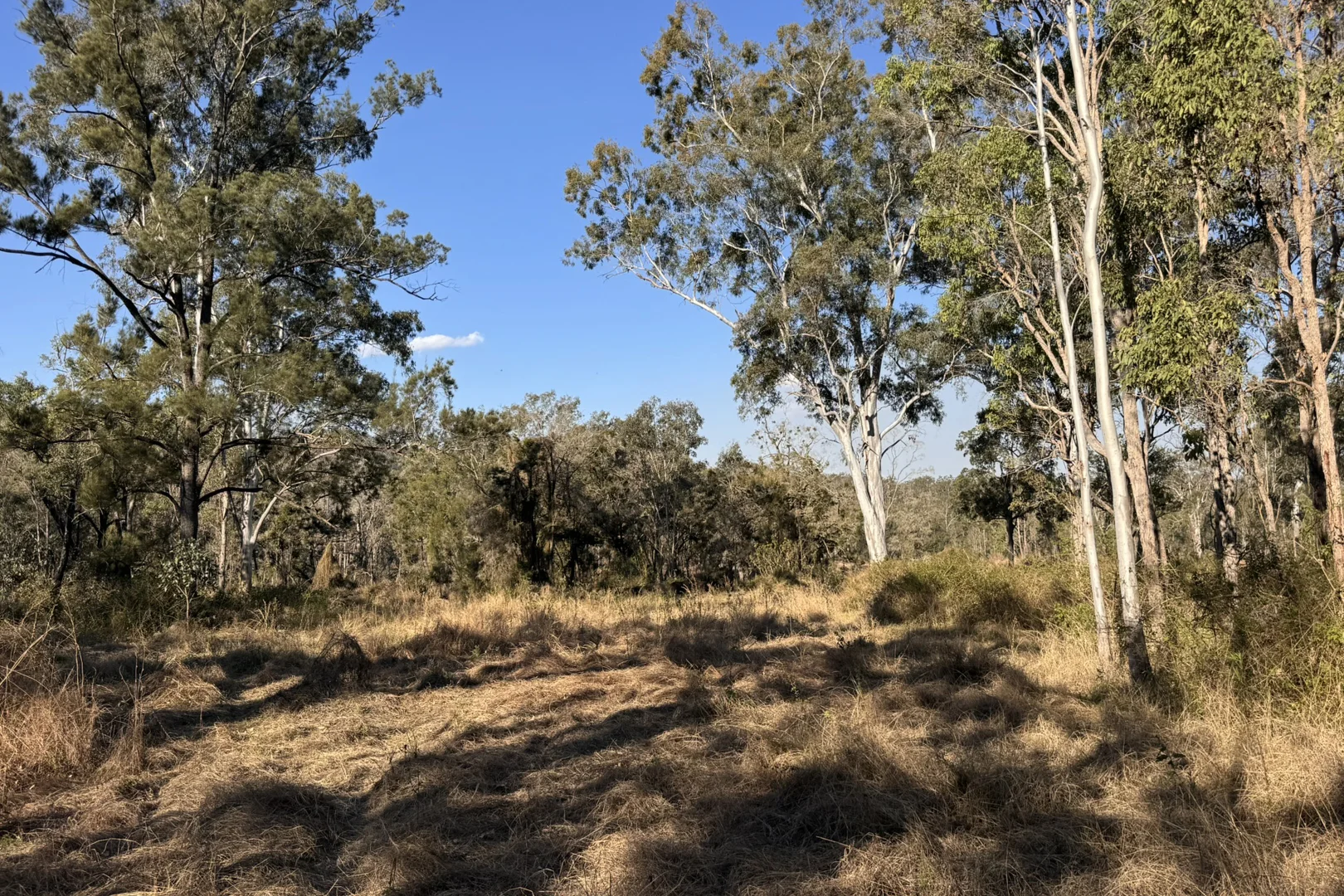 Additional image 13 of "Jalna" 266 Childs Road, Boyne Valley QLD 4680