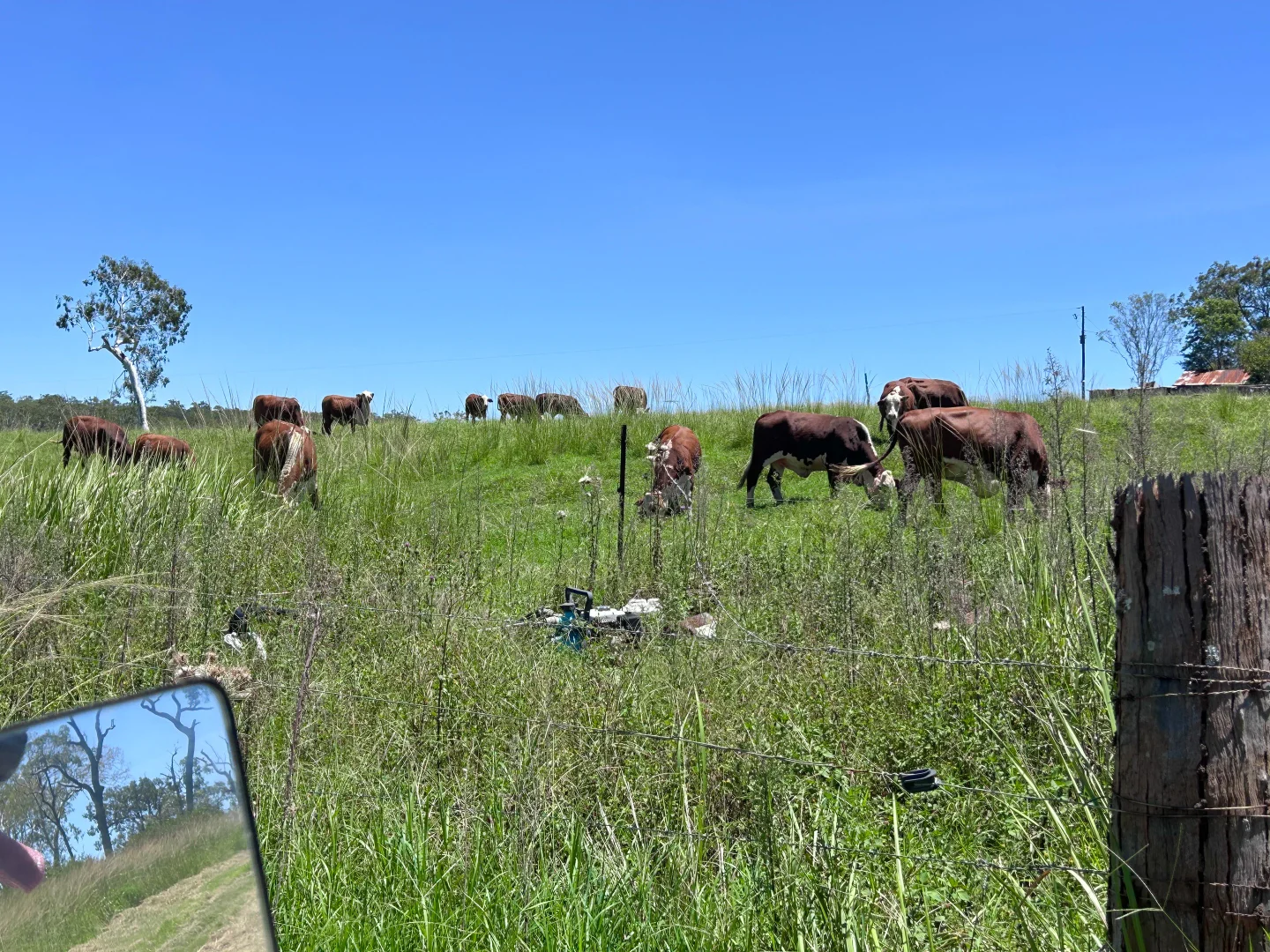 Additional image 13 of 2617 Mount Fox Road, Mount Fox QLD 4850