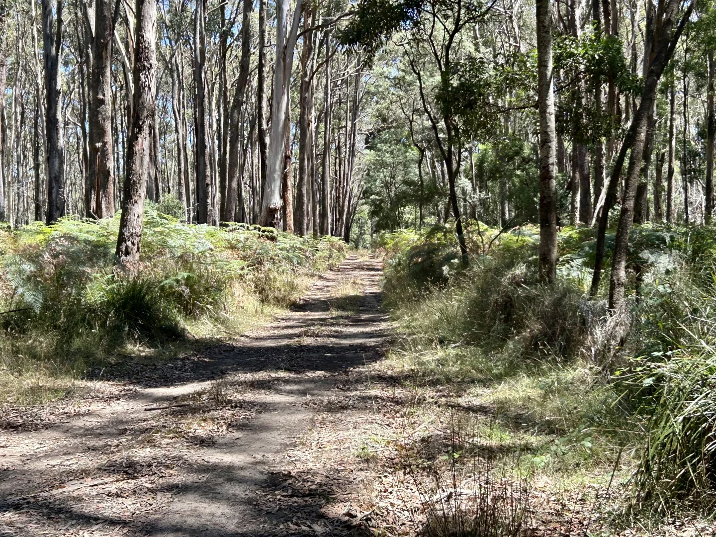 Additional image 11 of 18 Golden Point Road, Trentham VIC 3458