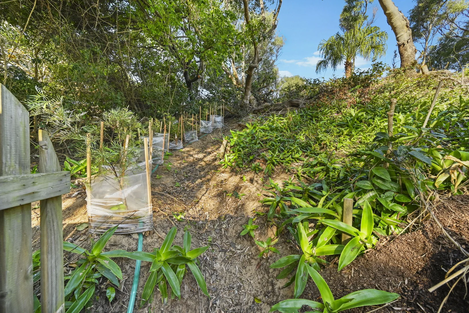 Additional image 30 of 48 Atlantis Boulevard, Agnes Water QLD 4677