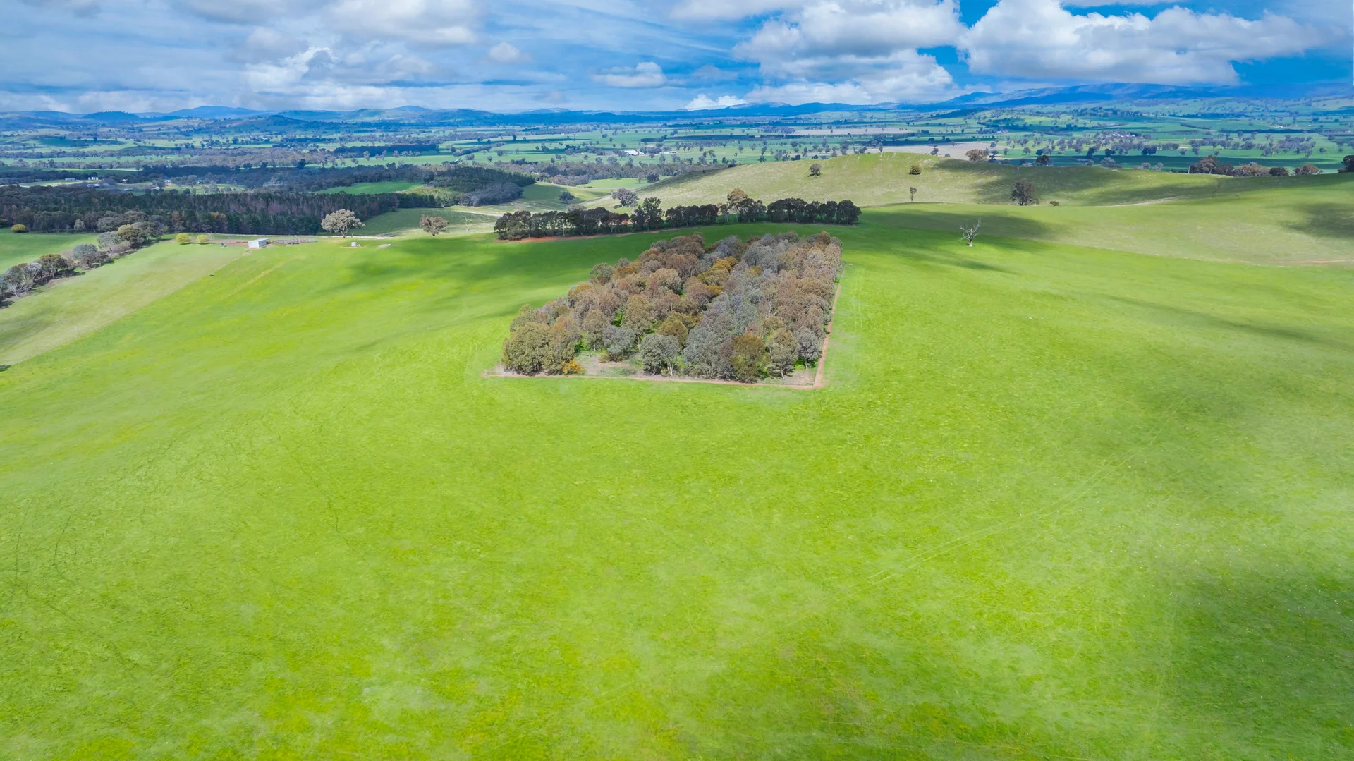 Additional image 6 of 1510 Culcairn Holbrook Road, Morven NSW 2660