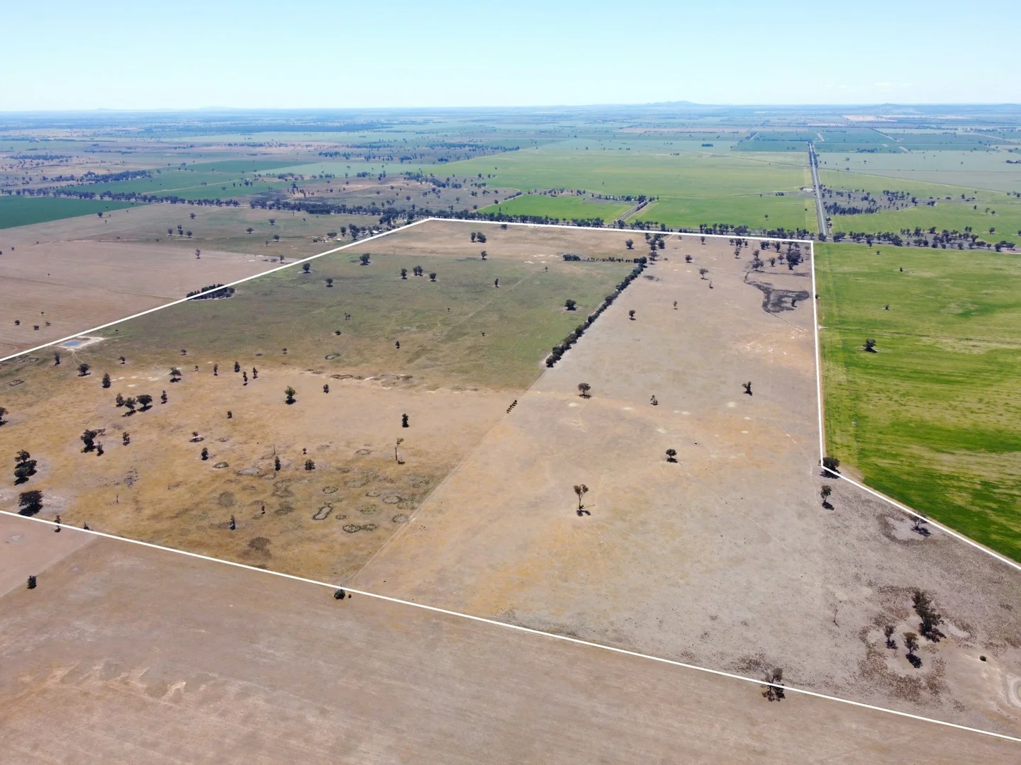 Additional image 3 of 1539 Bland Road, Quandialla NSW 2721