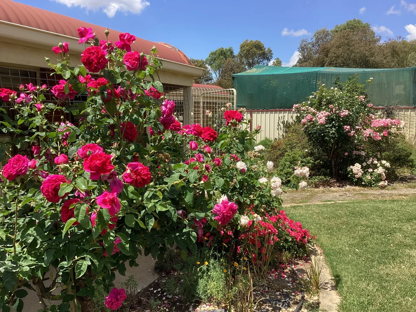 Additional image 22 of 226 Wilsons Road, Haddon VIC 3351