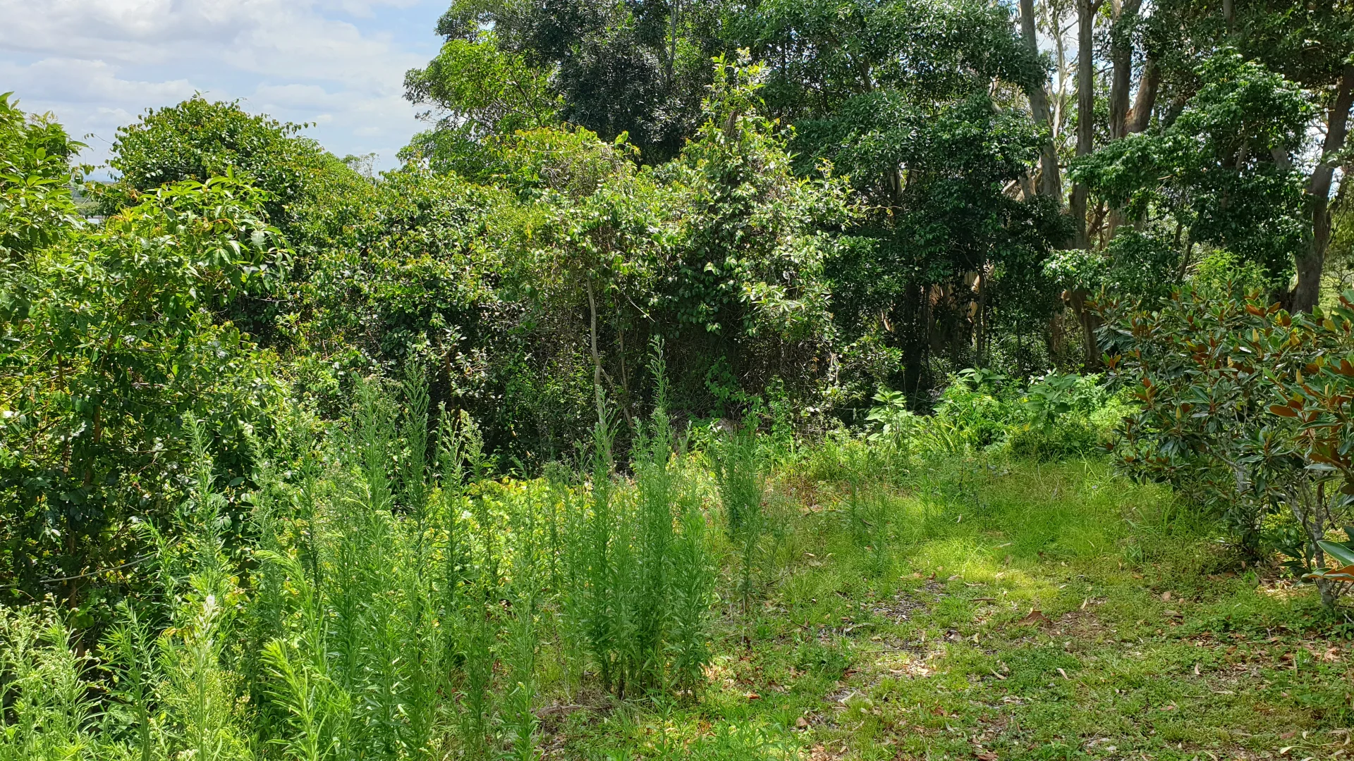 Additional image 5 of 13 Quarry Street, South West Rocks NSW 2431