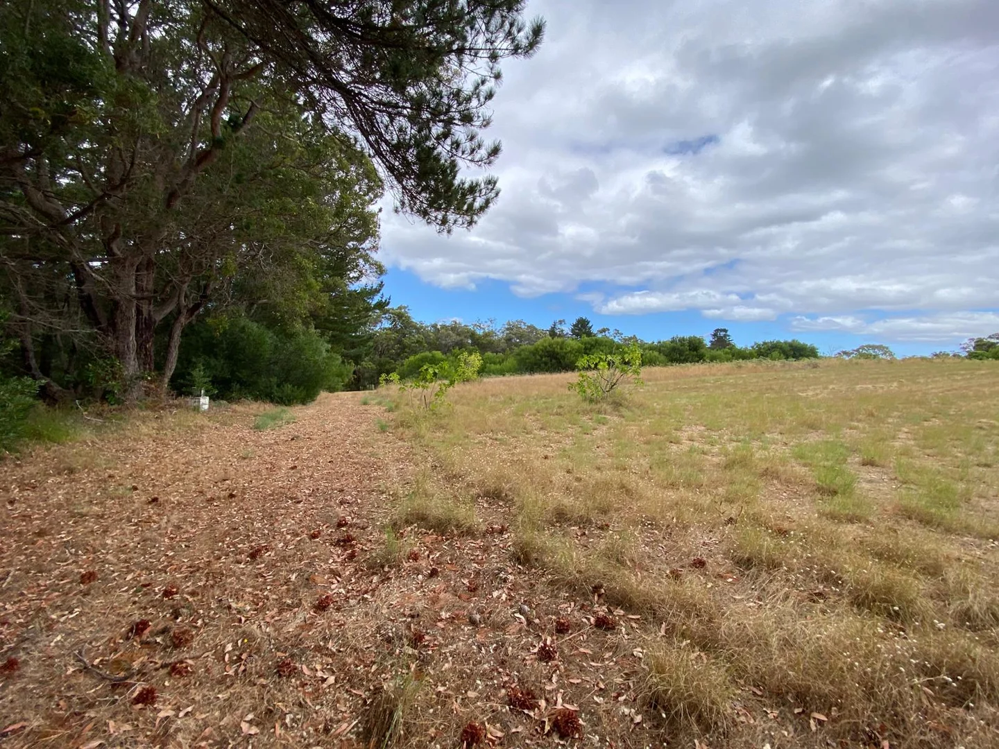 Additional image 5 of 45647 South Coast Highway, Kalgan WA 6330